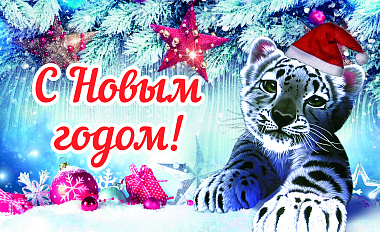 С Новым годом!